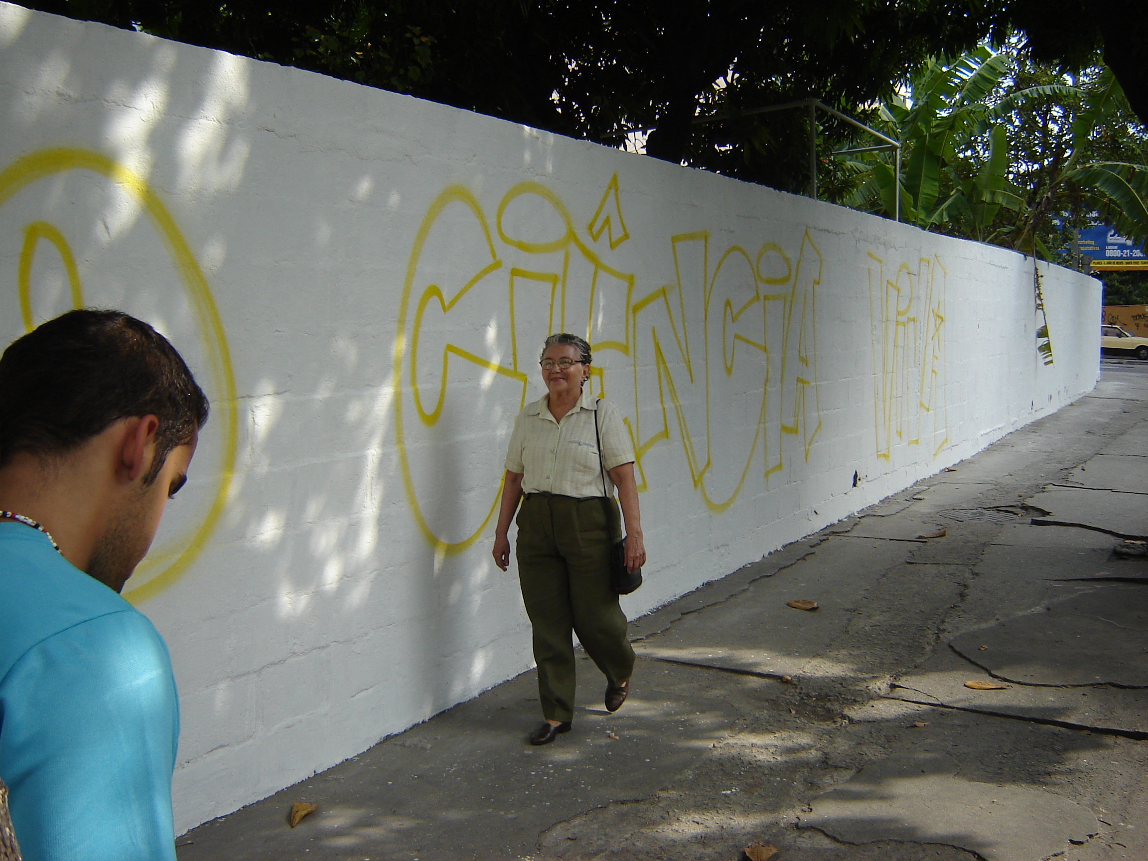 Muro Ciência Viva, 2006.