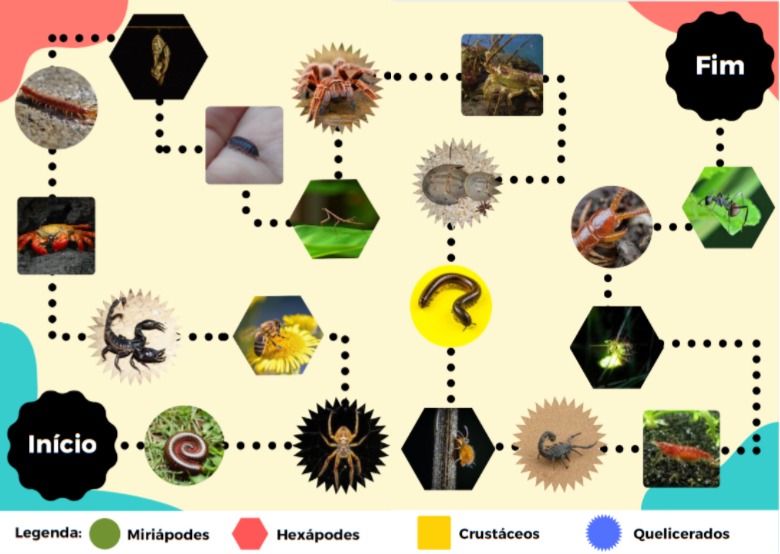 Biodiversidade - Jogo de tabuleiro