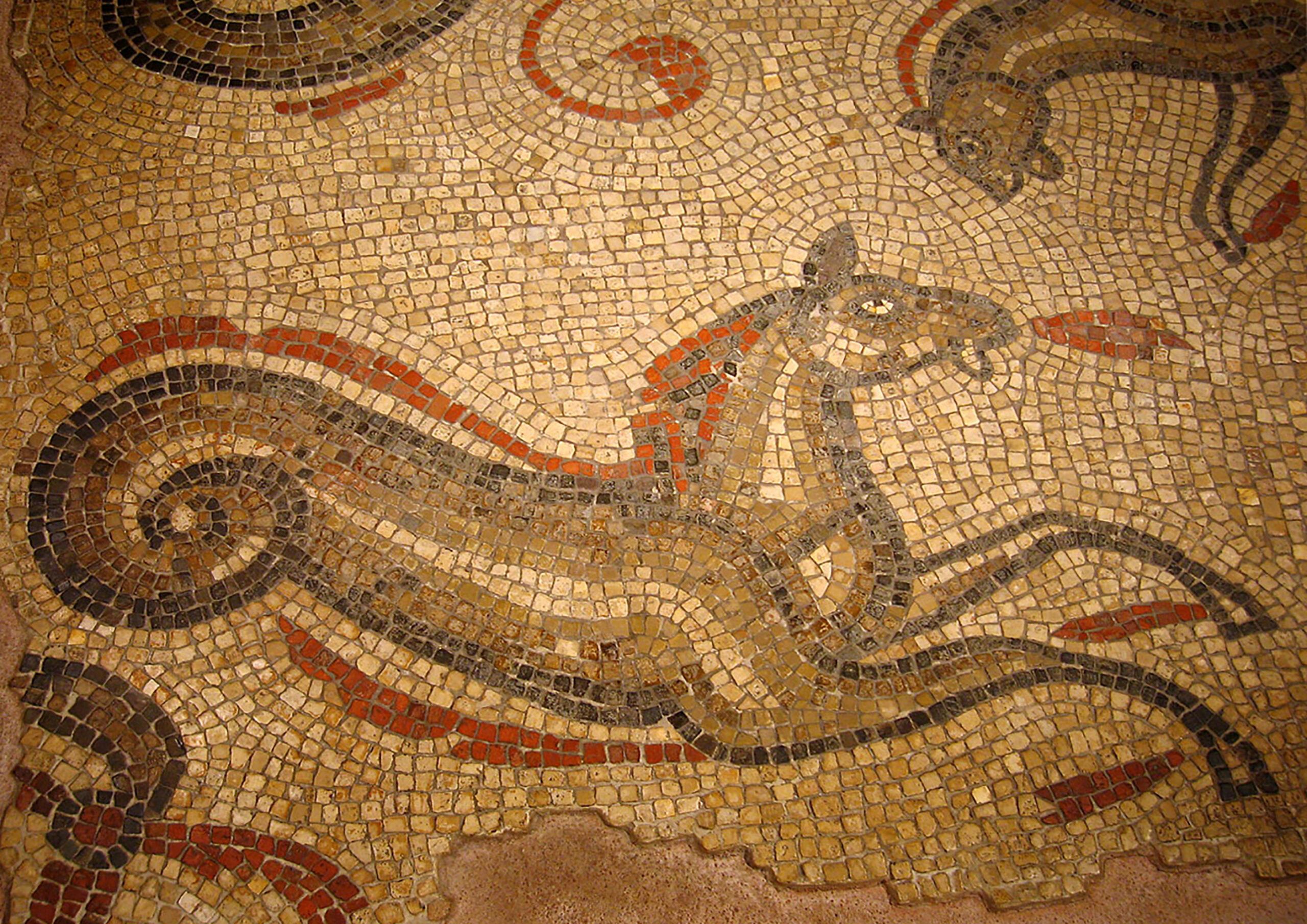 Banhos Romanos. Mosaico Cavalo Marinho.