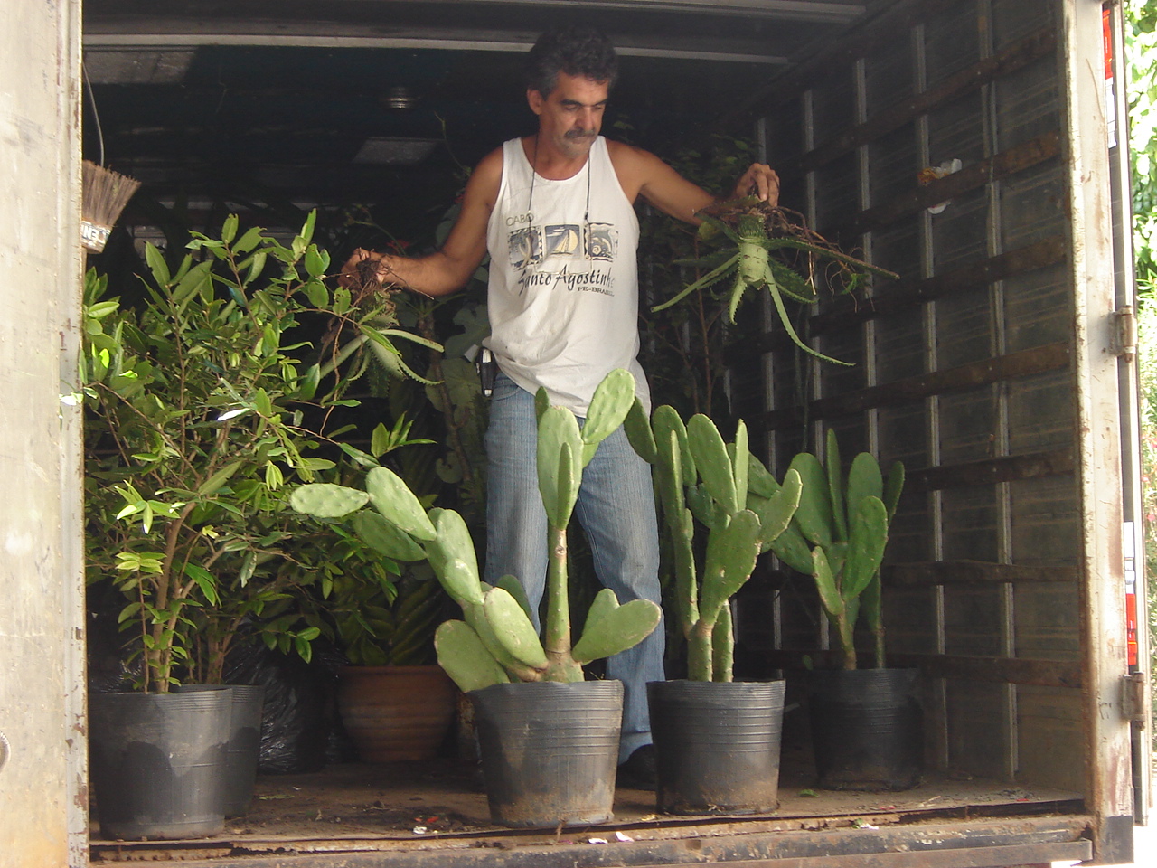 Mudas chegando. Plantio Jardim Didático, 2006.