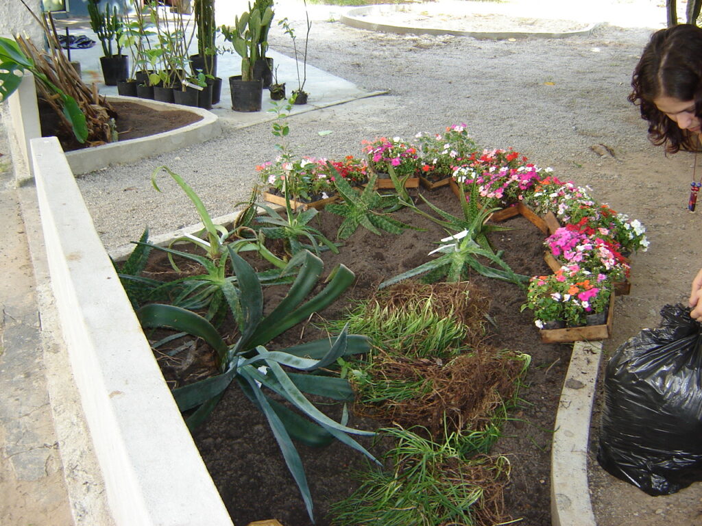 Canteiros de entrada do Jardim Didático.