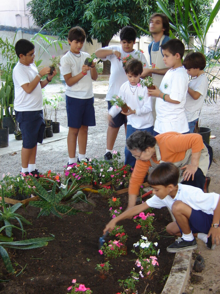 Jardim Didático, 2006.