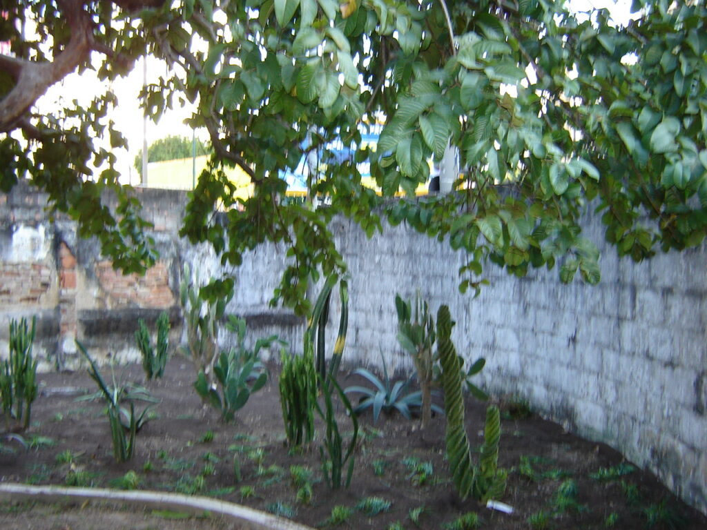 Criação do Jardim Didático, 2006.