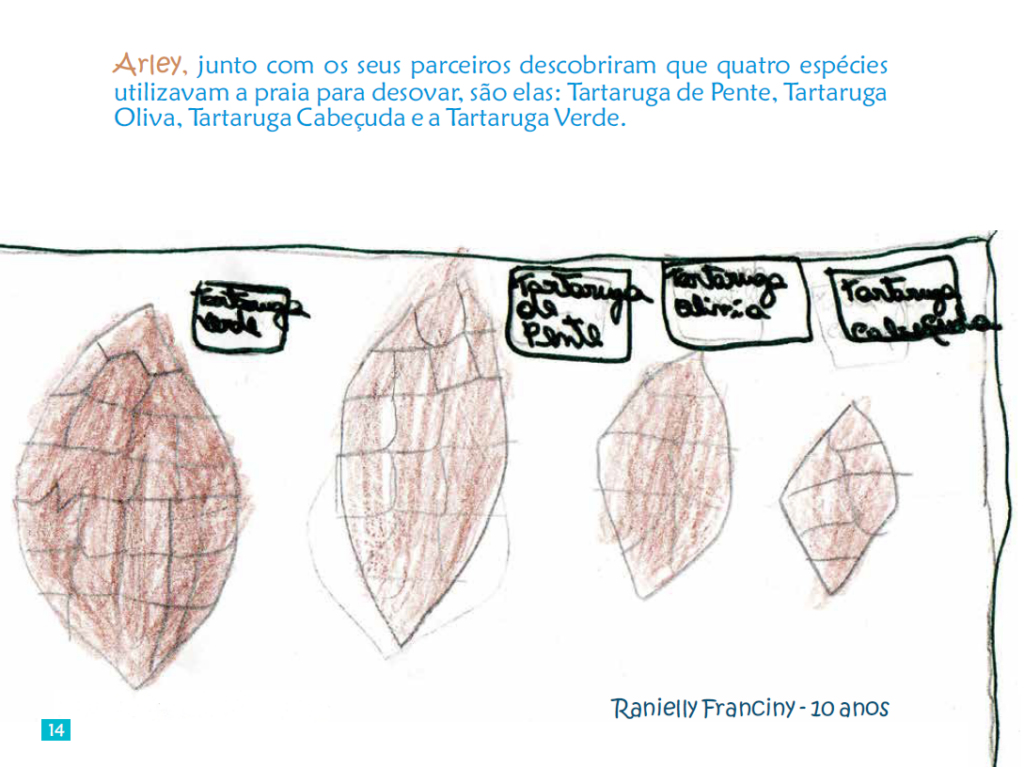 Página 14 do livro.
No alto, o texto:
Arley, juto com os seus parceiros, descobriram que quatro espécies utilizavam a praia para desovar, são elas: Tartaruga de Pente, Tartaruga Oliva, Tartaruga cabeçuda e a Tartaruga Verde.
Na faixa central, desenho dos cascos das quatro tartarugas em proporção de tamanho e legenda com nome das tartarugas.
No canto inferior direito, o nome e idade da criança que desenhou: Ranielly Franciny, 10 anos.