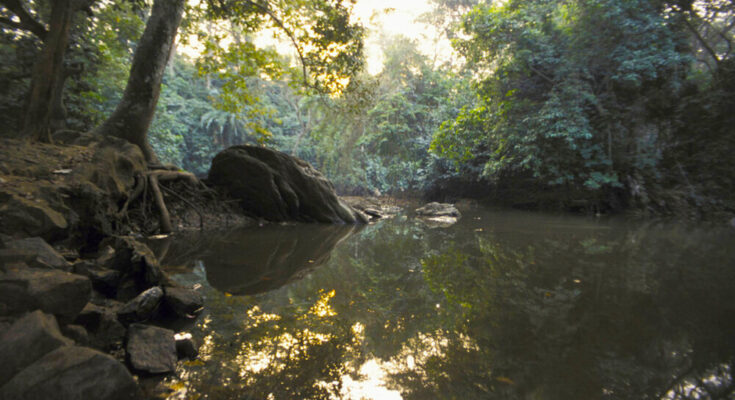 Sagrado Rio Osun, na Nigéria.