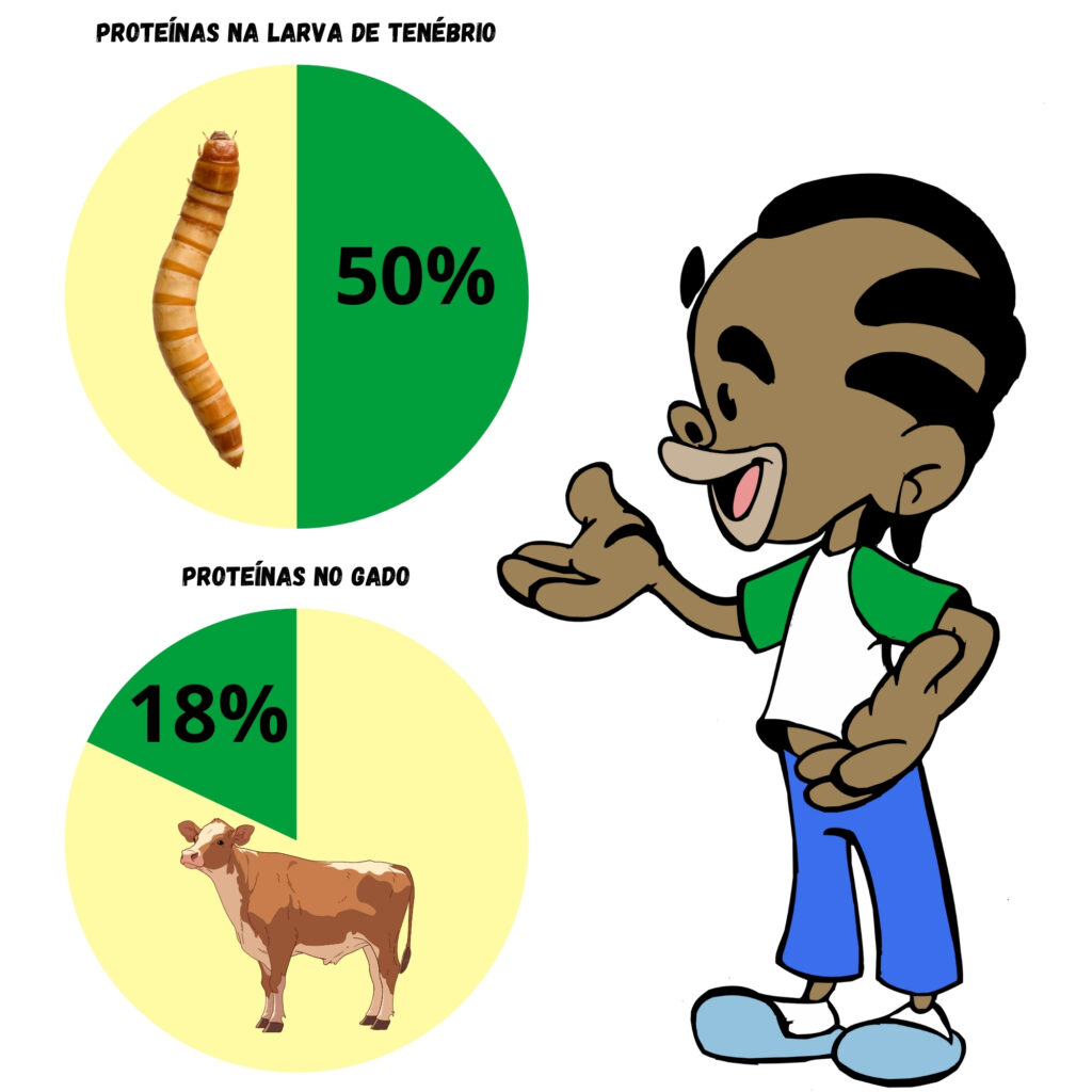 A imagem demonstra por meio de gráficos a quantidade de proteínas presentes em larvas de tenébrios (50%) e de gados (18%). Ao lado dos gráficos, temos um dos mascotes do ECV, de pele escura e cabelo preto em tranças.